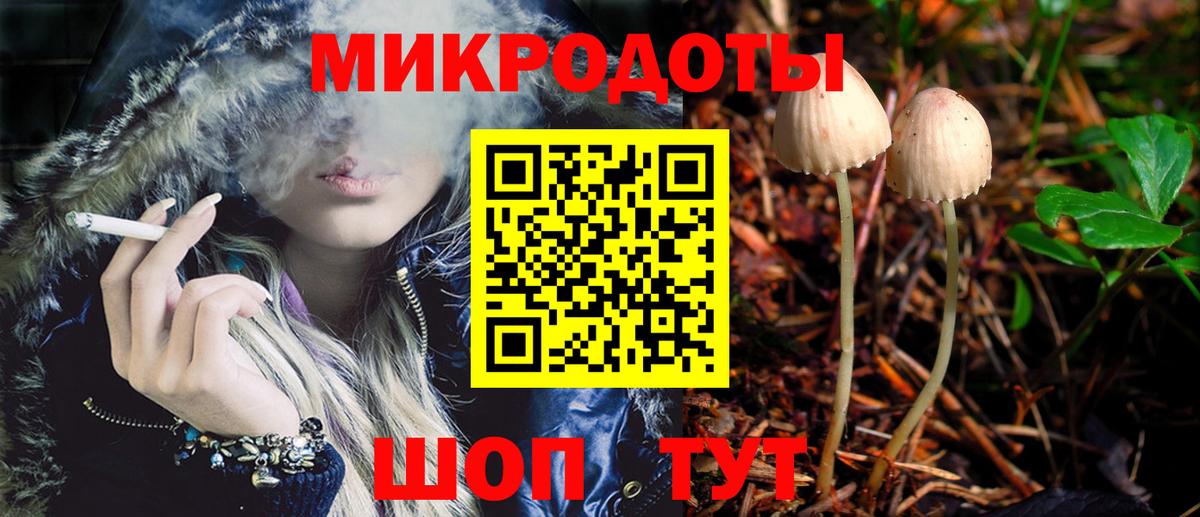 Фролово  Псилоцибиновые грибы прущие грибы  Вход с VPN 